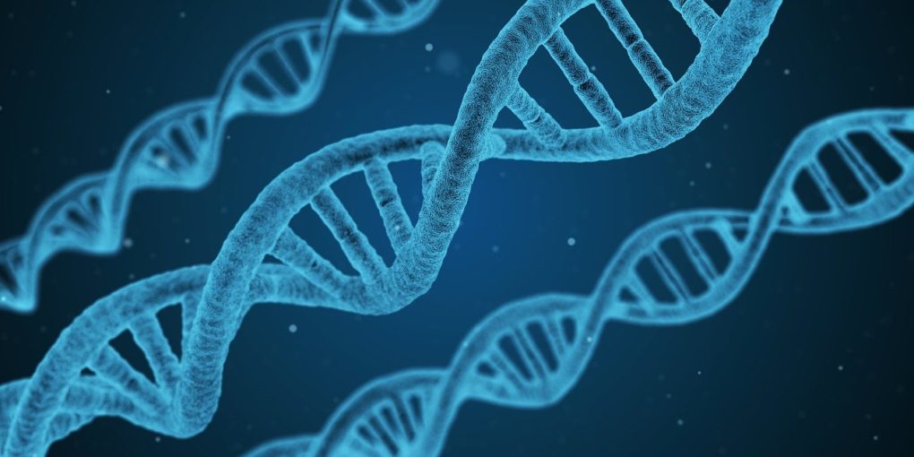 DNA and CRISPR